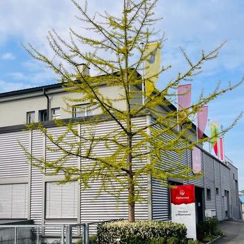 20230505_FG Besuch Alpinamed6.jpg